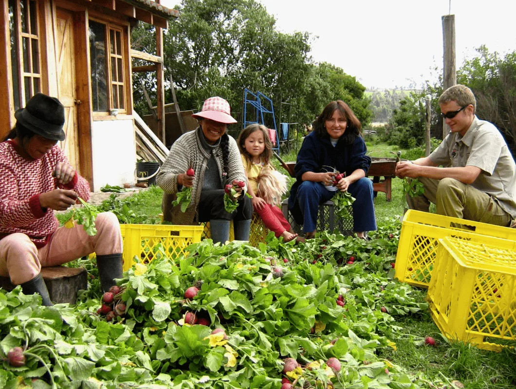 JCS Page's early work on an organic farm project in Chile, part of his background in ecology and sustainable building