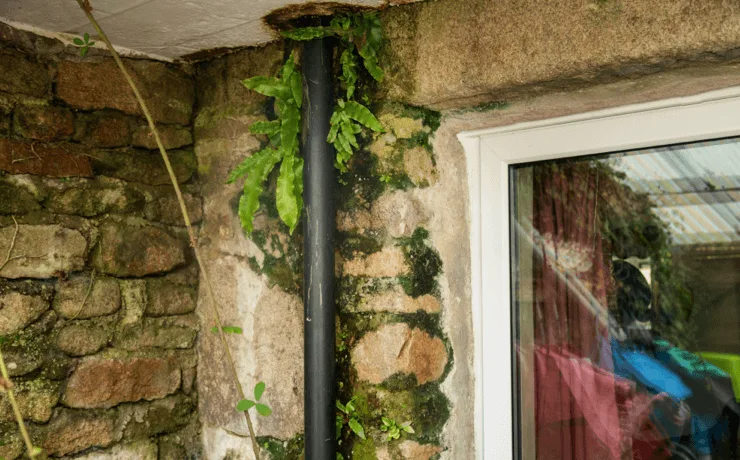 Why Is Good Drainage So Important for Preventing Damp in Old Properties?
