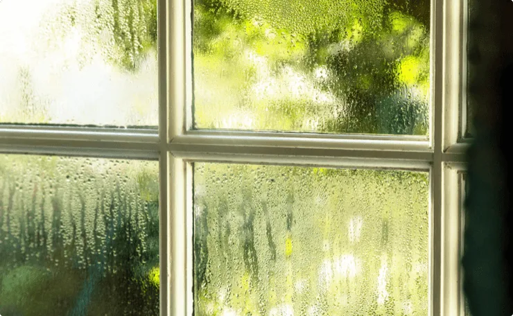Control Damp in Old Stone and Cob Buildings