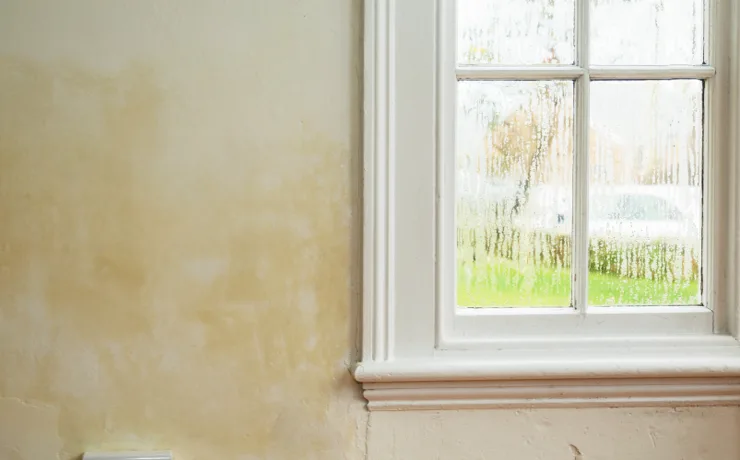 What is ‘Breathability’ and How Does it Affect My Property?